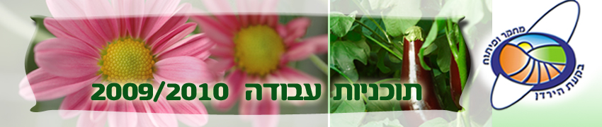 תוכניות עבודה 2010